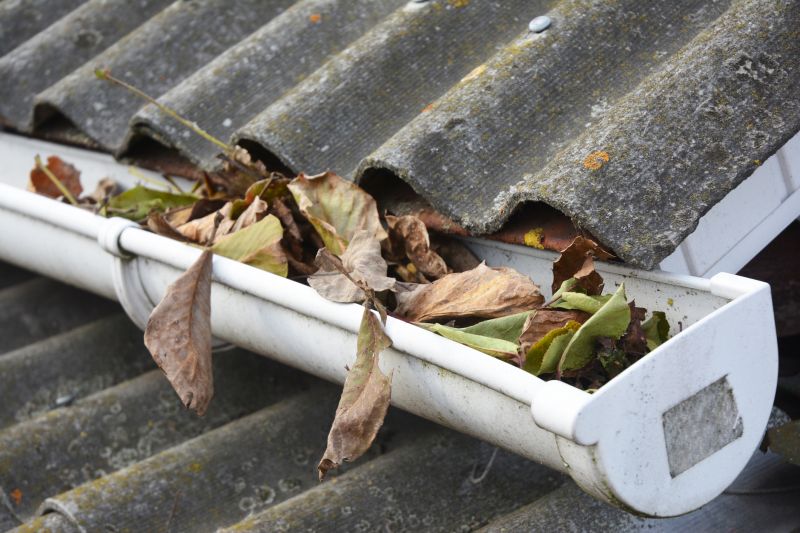 Clogged Gutter Clearing