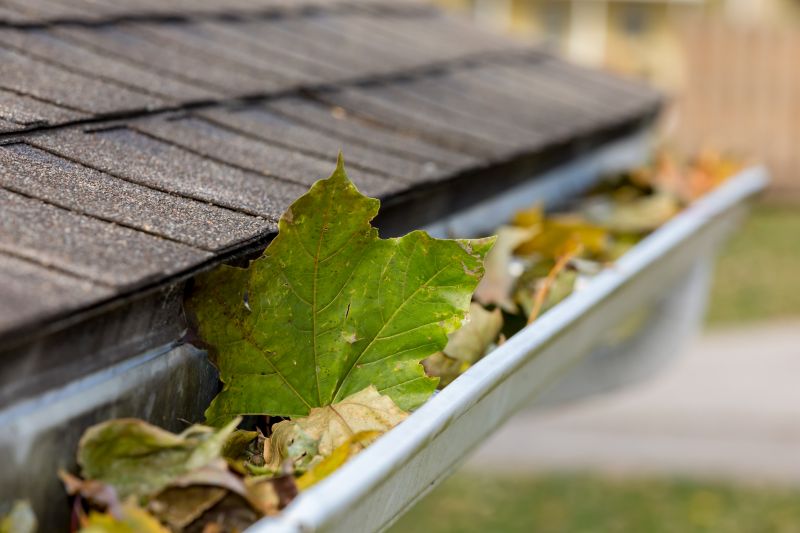 Clean Gutters and Downspouts