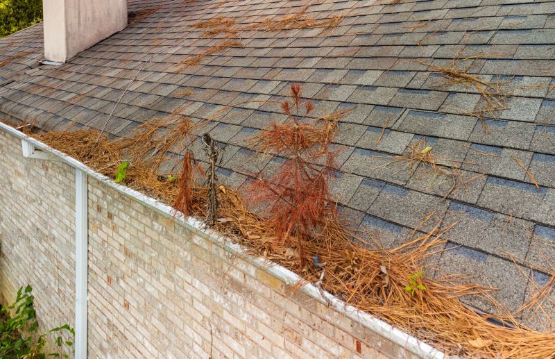 Gutter Pine Needle Removal
