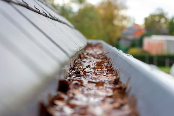 Commercial Gutter Cleaning Service