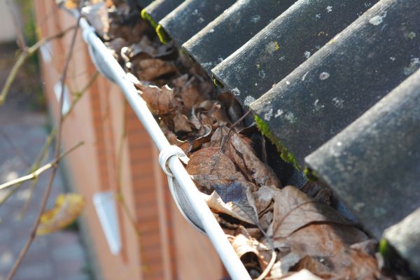 Cost of Home Gutter Cleaning in Boise