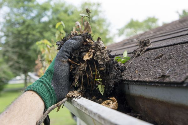 Obstructed Gutter Cleaning